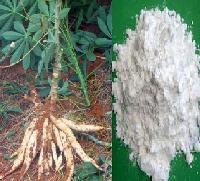 磷酸酯雙淀粉在江蘇無(wú)錫金陵塔公司的應(yīng)用與發(fā)展